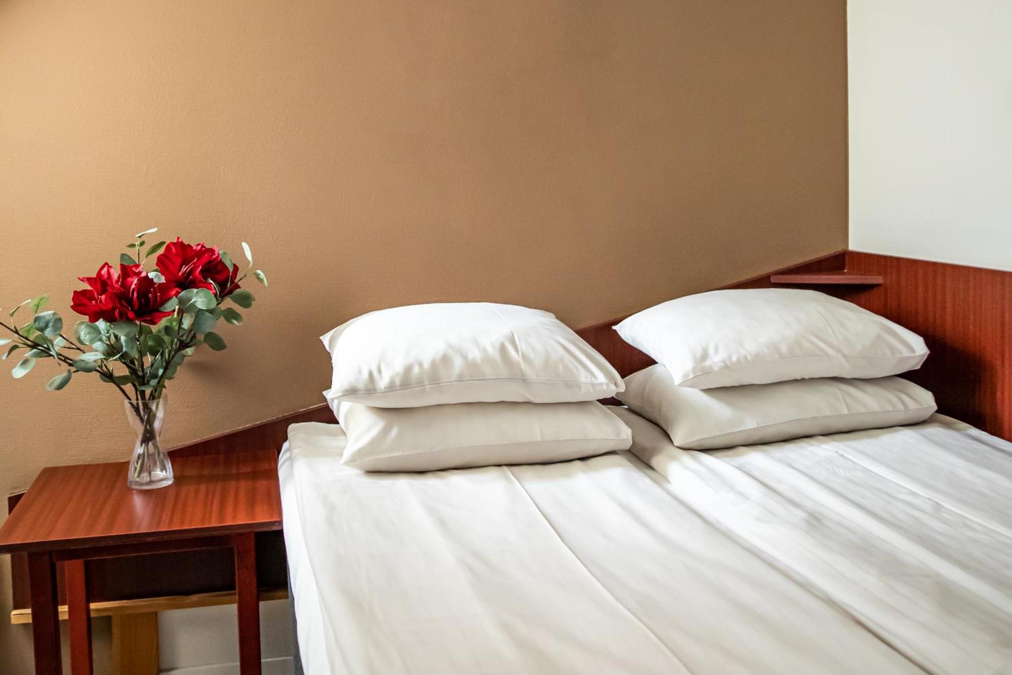 Hotel Kupolen ボルレンゲ エクステリア 写真