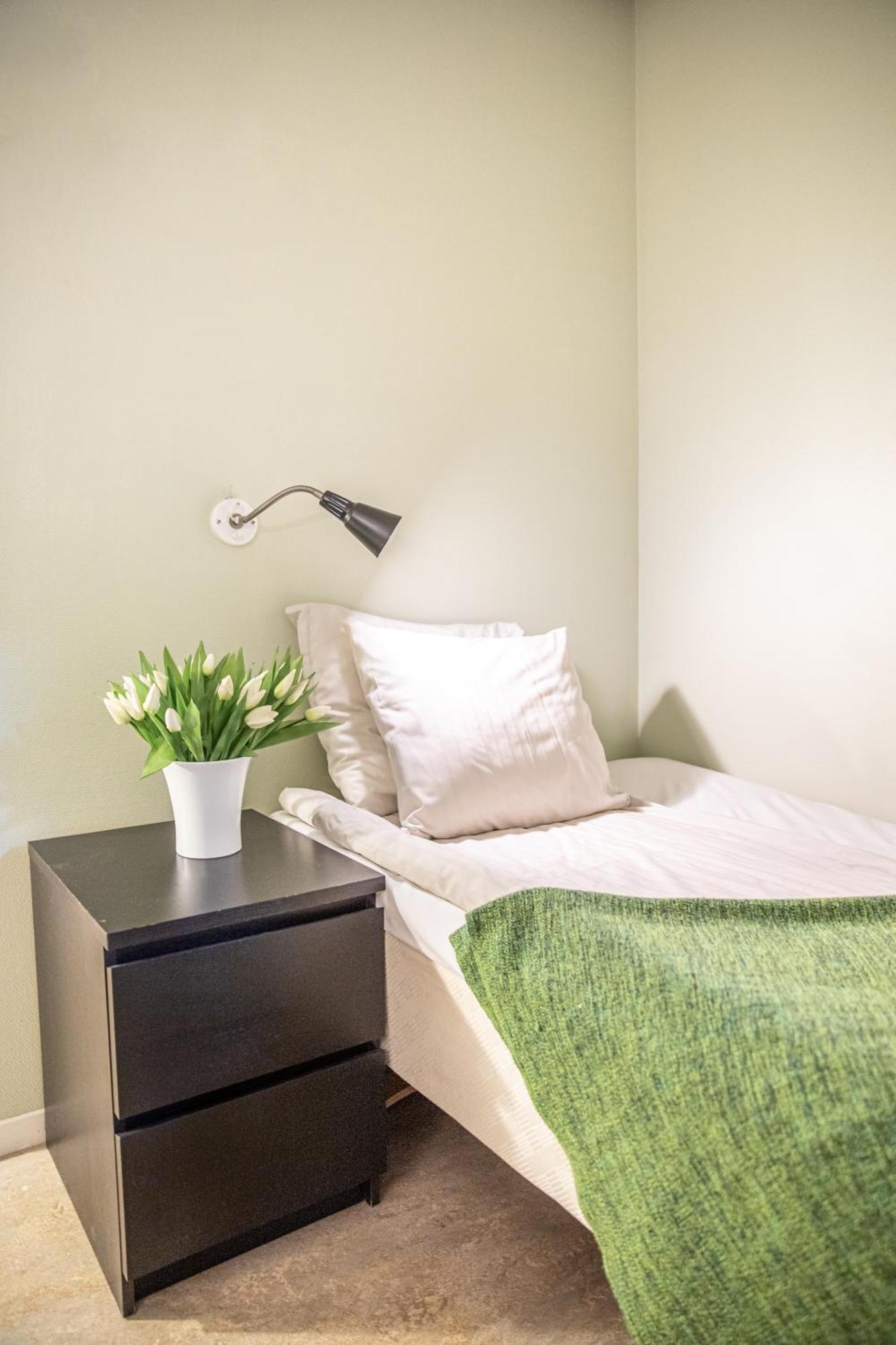 Hotel Kupolen ボルレンゲ エクステリア 写真